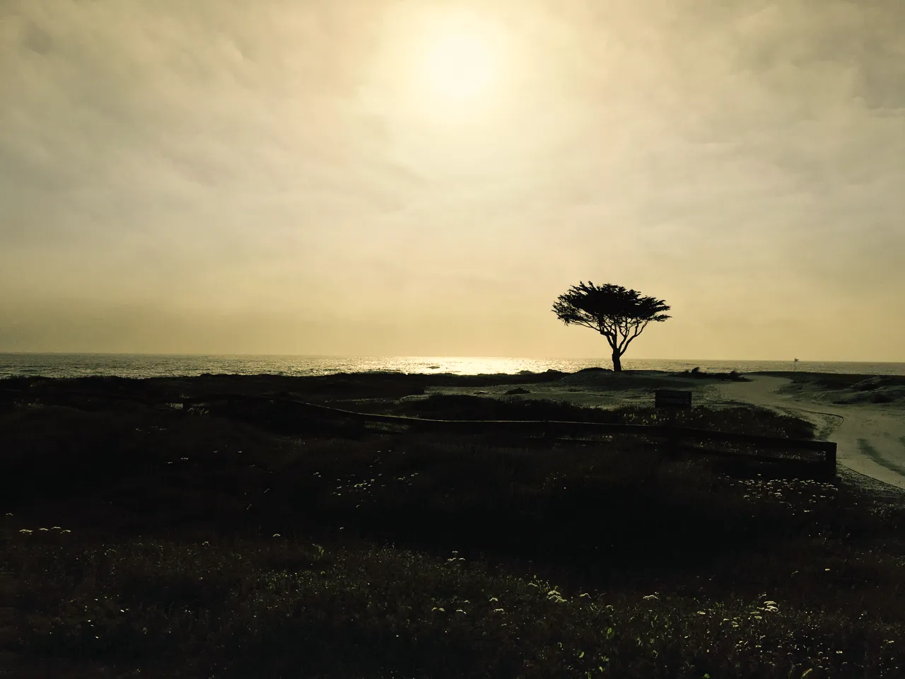 LANDSCAPES — Monterey, CA