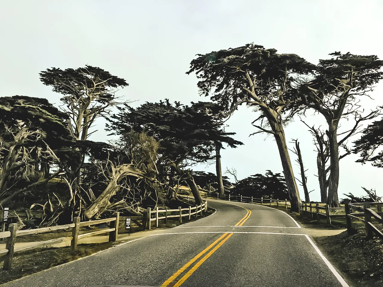 LANDSCAPES — Monterey, CA